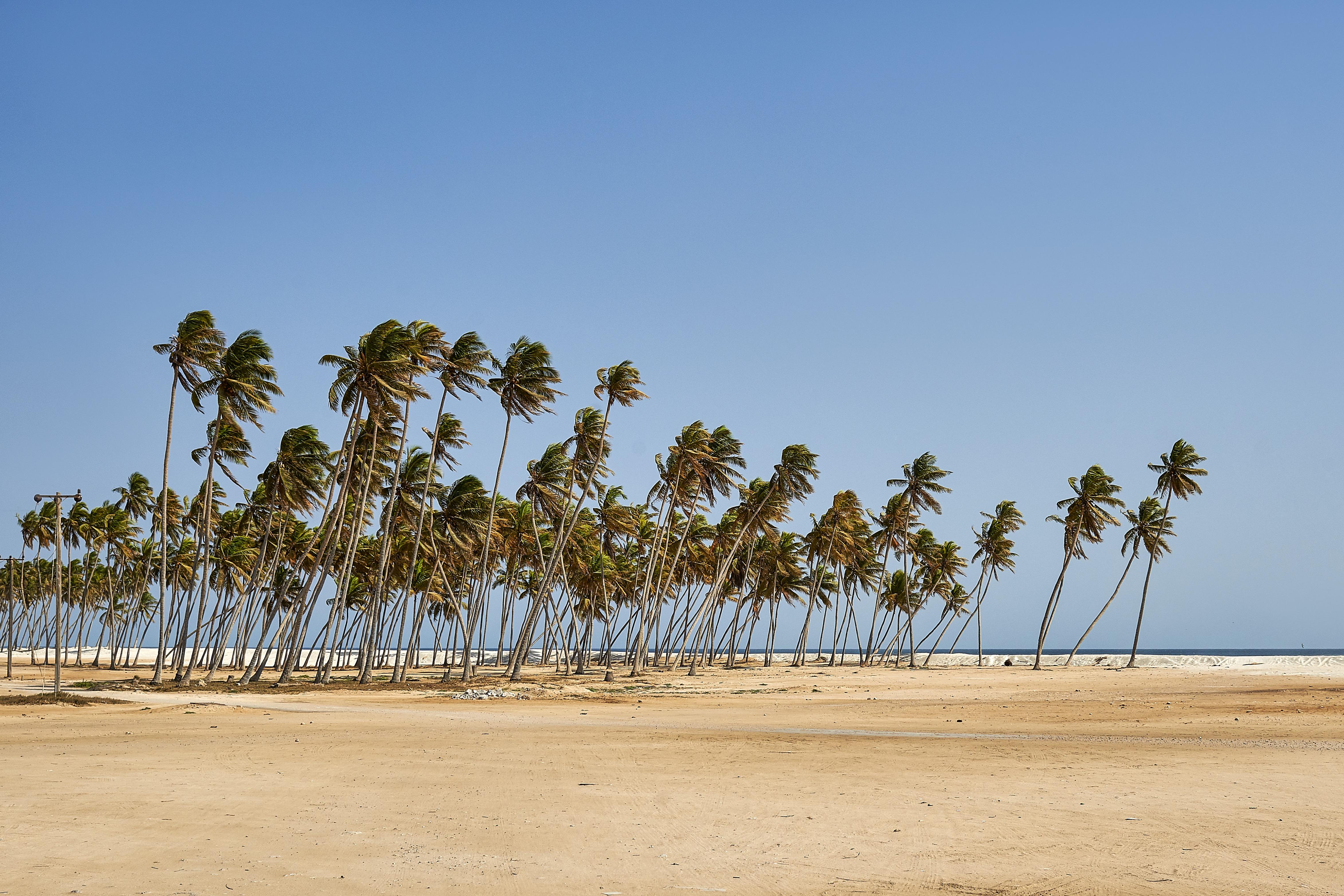 Salalah Gardens Hotel Managed By Safir Hotels & Resorts Dış mekan fotoğraf